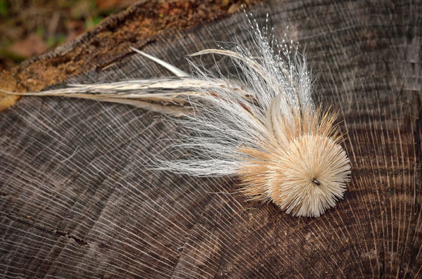 All-white Urban Fly Co. fly fishing lure with feathers, displayed on a tree stump.