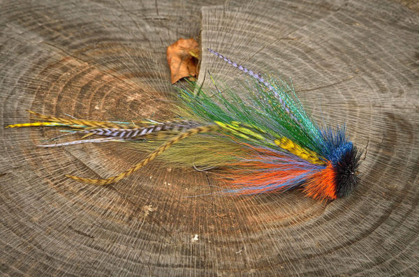 Vibrant fly fishing lure with blue, orange, green, and yellow feathers, displayed on a tree stump with a leaf.