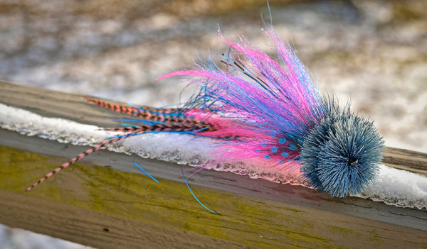 A vibrant fly fishing lure by Urban Fly Co., named 'CC Single 2,' featuring a combination of pink, blue, and black feathers with striped accents, and a bushy blue head, displayed on a snow-covered wooden railing with a blurred background.