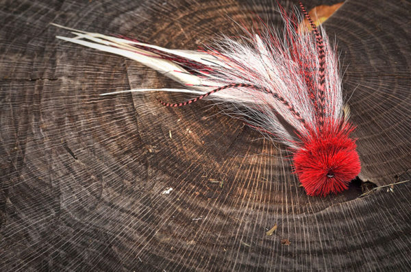 Classic pike fly fishing lure with red and white feathers, displayed on a tree stump.