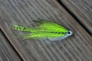 Chartreuse and White Bendback Deceiver