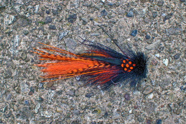 Black and Orange Mini Buford Musky Fly