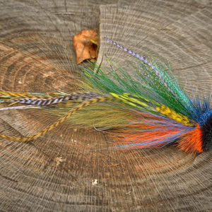 Vibrant fly fishing lure with blue, orange, green, and yellow feathers, displayed on a tree stump with a leaf.