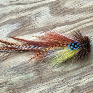 Brownie single buford fly with vibrant brown, yellow, and red feathers, accented with blue polka dots, displayed on a wooden surface, part of Urban Fly Company's fly collection.