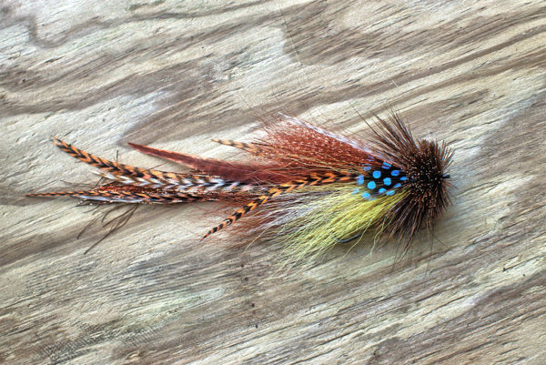 Brownie single buford fly with vibrant brown, yellow, and red feathers, accented with blue polka dots, displayed on a wooden surface, part of Urban Fly Company's fly collection.