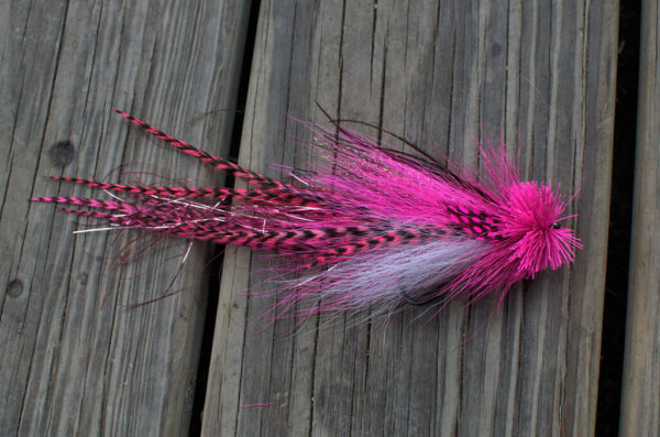 A vibrant pink and white fly fishing lure by Urban Fly Co., featuring a detailed design with pink and black striped feathers, white accents, and a bushy pink head, displayed on a wooden surface.