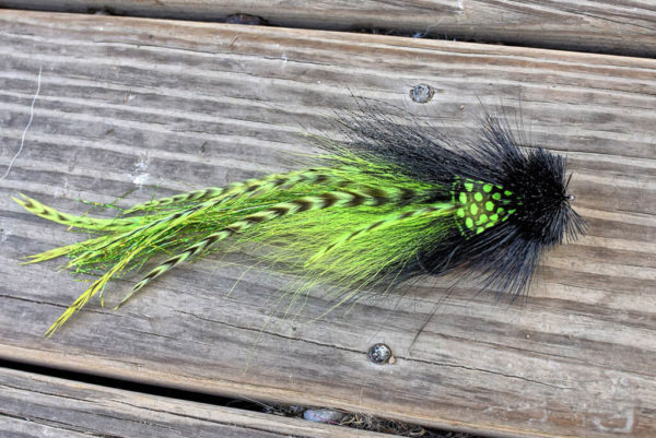 Black and Chartreuse Single Buford Musky Fly