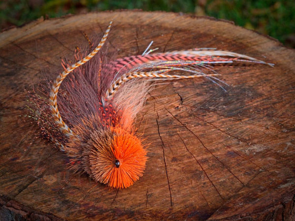 A detailed fly fishing lure by Urban Fly Co., featuring a combination of orange, brown, and white feathers with striped accents, and a bushy orange head, displayed on a tree stump with a blurred natural background.