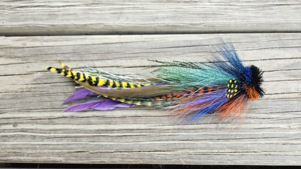 Close-up of a Bluegill fly fishing lure from Urban Fly Co., featuring vibrant colors resembling a bluegill fish, with detailed materials and craftsmanship on display.